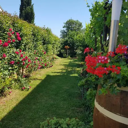 Olive Garden 1 Appartamento Pola